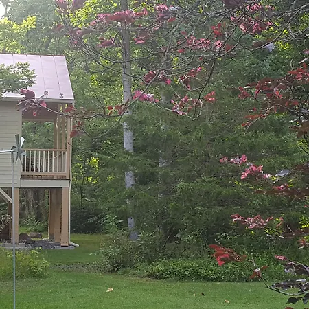 Hummingbird Inn-2